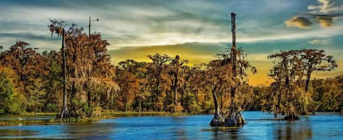 louisiana panorama